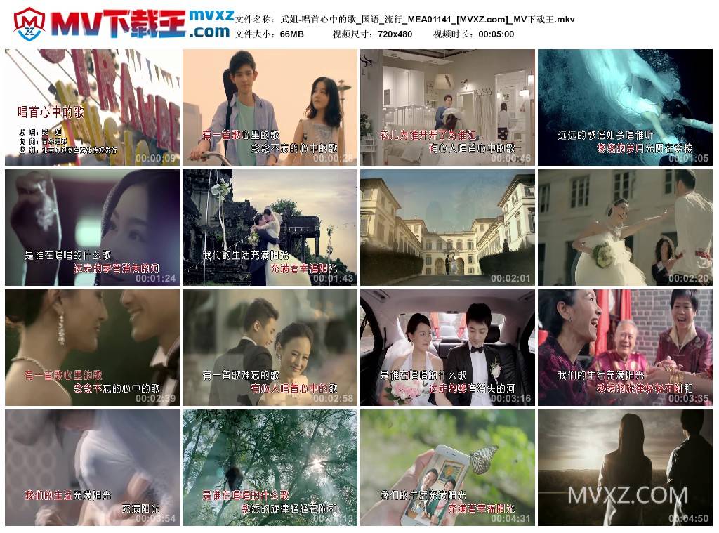 武姐-唱首心中的歌_国语_流行_MEA01141